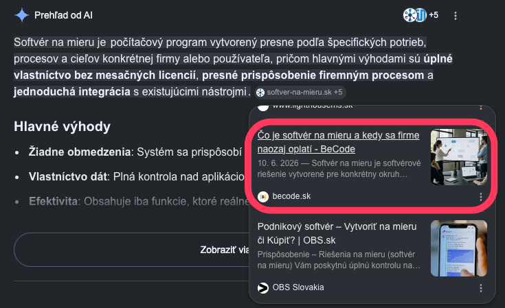 AI Overview: Softvér na mieru